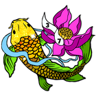 Koi Fish Color Zeichen