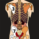 Human Body Color by Number Art APK