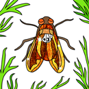 Insects Color by Number Book APK