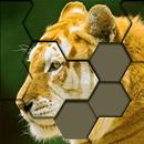 Jigsaw Hexa Puzzle  Block Game APK