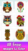 Owl Color by Number Birds Art Poster