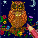 Owls Color by Number Drawings APK
