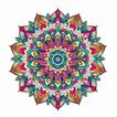 ”Mandala Color by Number Book