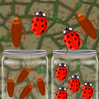 Insect Sort Puzzle Color Bugs Zeichen