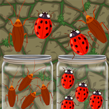 Insect Sort Puzzle Color Bugs Zeichen