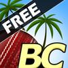 Beach Cricket Mod APK icon