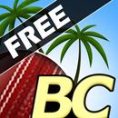 Beach Cricket APK