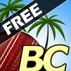 Beach Cricket أيقونة