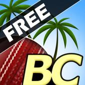 Icona Beach Cricket