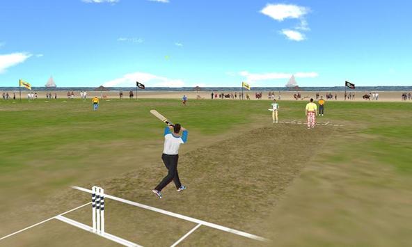 Beach Cricket screenshot 1
