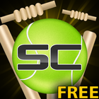 Street Cricket أيقونة