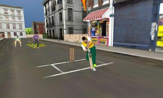 Street Cricket syot layar 1