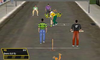 Street Cricket تصوير الشاشة 2