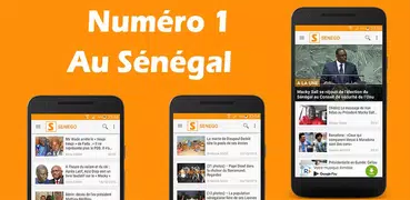 Senego: Notizie in Senegal