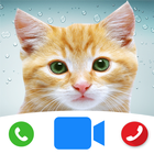 Cute Cat Prank Call - Fake Cal आइकन