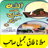 Maulana Tariq Jameel icono