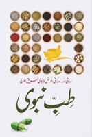 Tib e Nabvi Poster