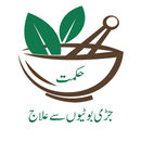 Hikmat Books-Qanoon Mufrad Aza APK