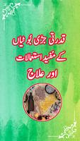 Hikmat Books-Qanoon Mufrad Aza постер