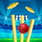 World Real IPL Cricket Games иконка