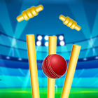 World Real IPL Cricket Games icono