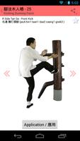 Wooden Dummy Kicking Form 스크린샷 3