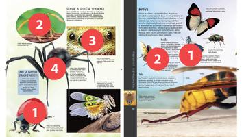 TapADot-Bugs โปสเตอร์