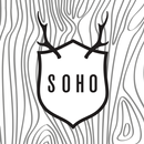 SOHO CONNECT APK