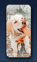 ⭐ Puppy Wallpaper Cutes capture d'écran 3