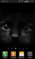 Черные кошки живые обои 스크린샷 3