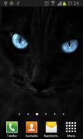 Черные кошки живые обои 포스터