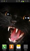 Черные кошки живые обои 스크린샷 1