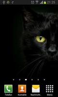 Черные кошки живые обои 스크린샷 2