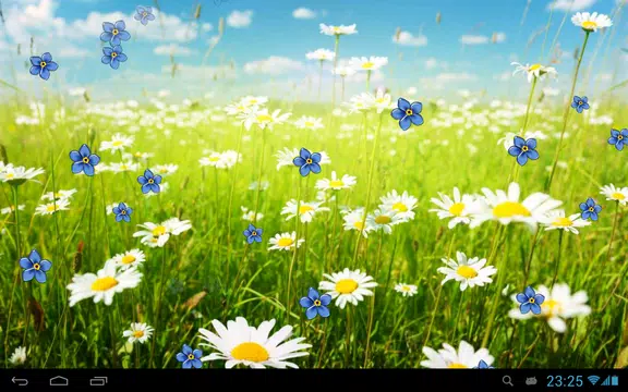 Screenshot 6 for Camomiles live wallpaper