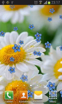 Screenshot 1 for Camomiles live wallpaper