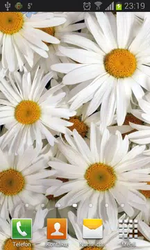 Screenshot 2 for Camomiles live wallpaper