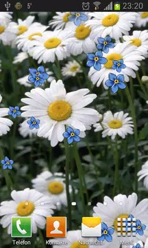 Screenshot 3 for Camomiles live wallpaper