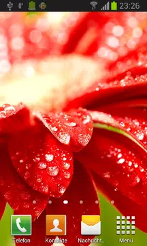 Screenshot 1 for Flowers in dew live wallpaper