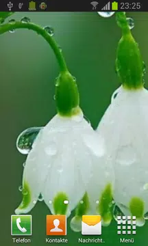 Screenshot 2 for Flowers in dew live wallpaper