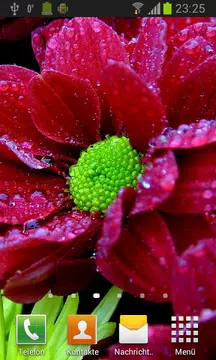 Screenshot 3 for Flowers in dew live wallpaper