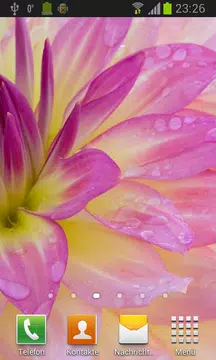 Screenshot 5 for Flowers in dew live wallpaper
