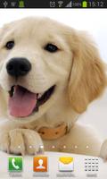 Puppies dogs live wallpaper screenshot 2