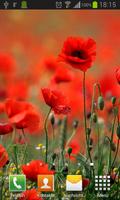 برنامه‌نما Poppies live wallpaper عکس از صفحه