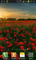 برنامه‌نما Poppies live wallpaper عکس از صفحه