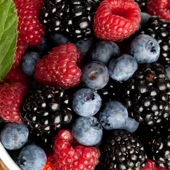 Wild berries live wallpaper Icon