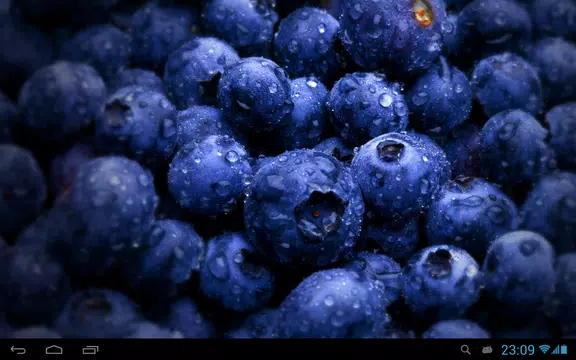Screenshot 7 for Wild berries live wallpaper