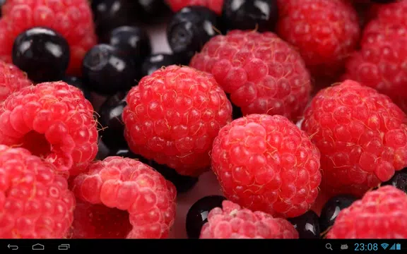 Screenshot 5 for Wild berries live wallpaper
