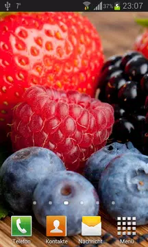 Screenshot 1 for Wild berries live wallpaper