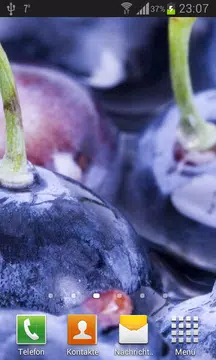 Screenshot 2 for Wild berries live wallpaper