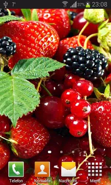 Screenshot 3 for Wild berries live wallpaper